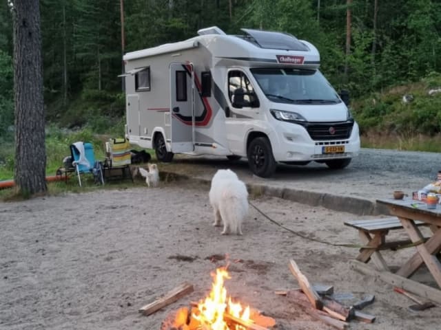 4p Challenger, teilintegriert ab 2021