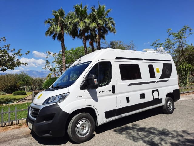 Camper4spain – 2p Benivan Fiat 2021 Südspanien, Malaga. FLIEGEN UND FAHREN