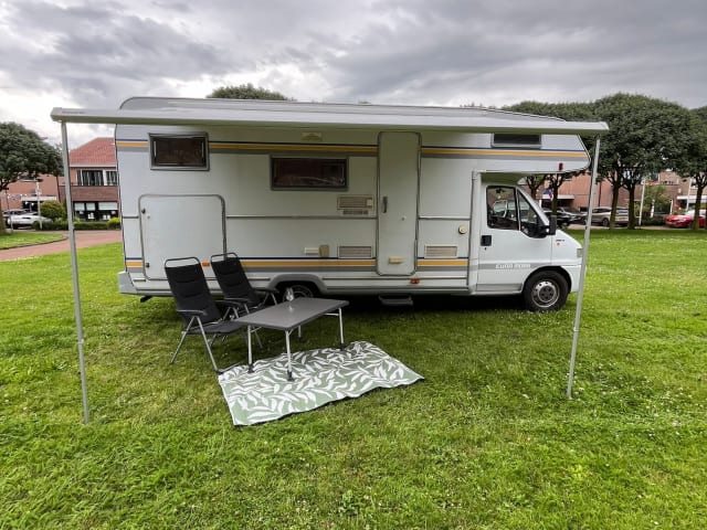 Fiat alkoof camperavontuur (6-pers.)