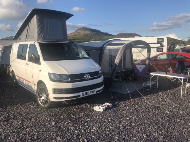 WILFY – 4 berth Volkswagen bus from 2016