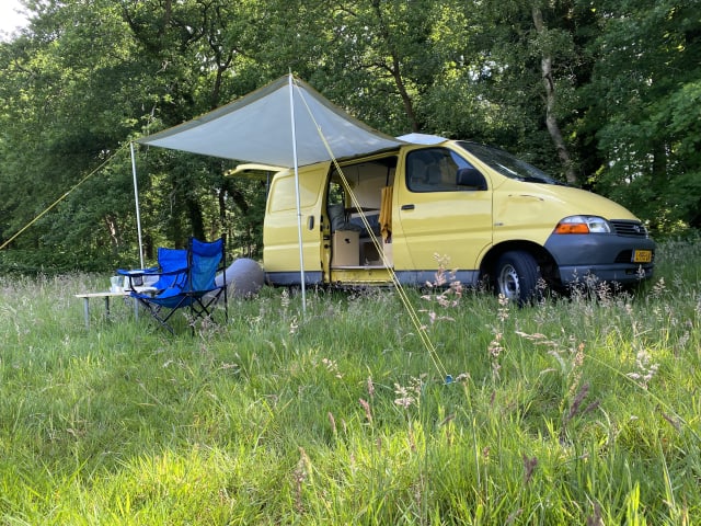 Franky – Cozy and unique van, ready for adventure!