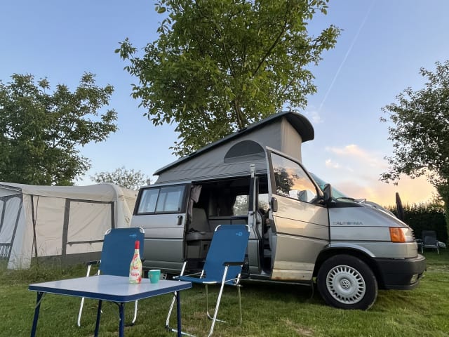 Mr. Grey –  Volkswagen Westfalia Wohnmobil (4 Personen)