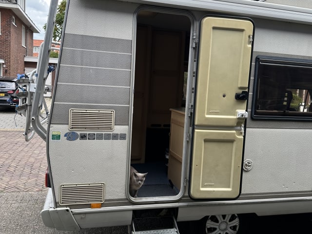 Fiat Ducato Hymer – 1-6p Fiat alcove from 1994