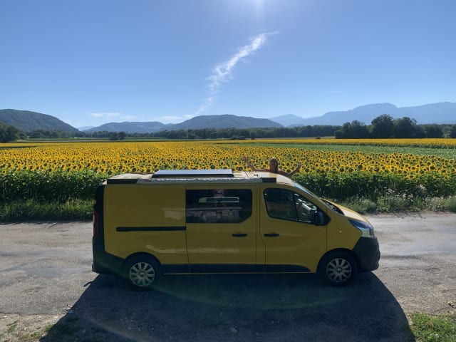 KIWI GOLD (6) – Renault Trafic Eco buscamper geheel zelfvoorzienend