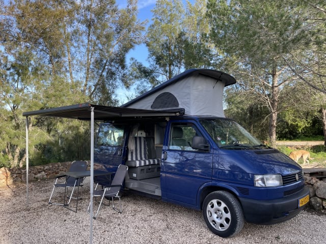 Marty – Volkswagen transporter California (T4 2,5 liter 85HP) 