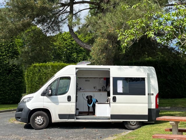 Betsy – 2 berth Peugeot campervan from 2018