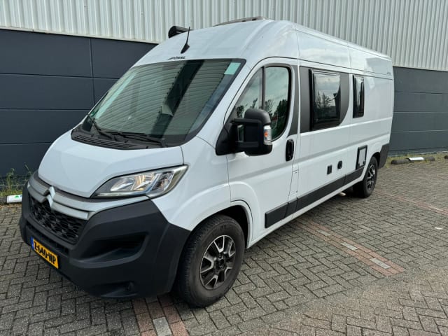 Autobus Citroën 3p del 2019