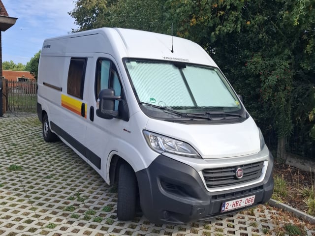 4p Fiat bus uit 2021