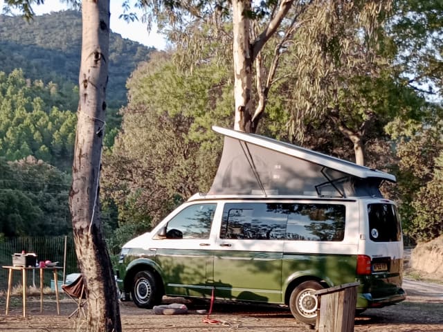 Monty – Perfect camper for get-aways great & small (4-berth VW, 2019) 