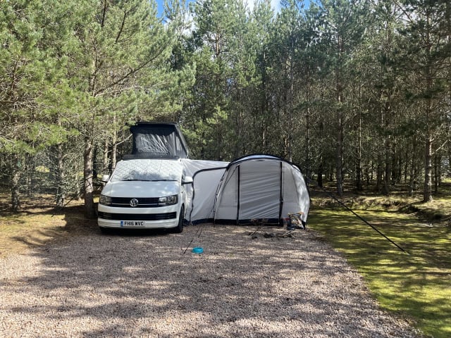 2-Bett-Wohnmobil Volkswagen T6 mit langem Radstand, Baujahr 2016