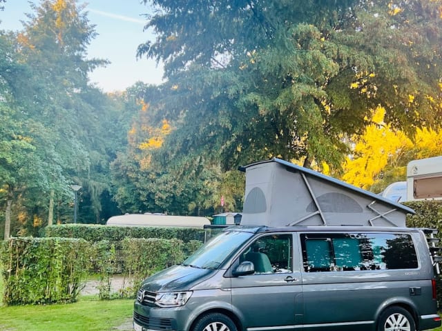  Camper Volkswagen 2020