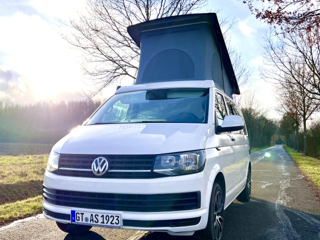 Woody – Le plaisir du camping-car VW pour la petite famille