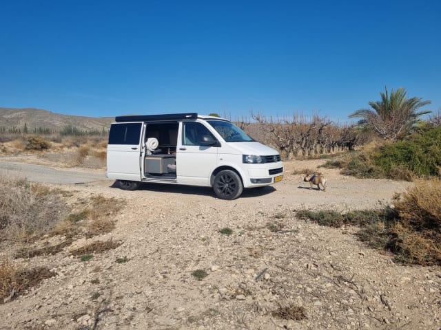 Betty – Maßgeschneiderter Campervan, fahrbereit ab Amersfoort!