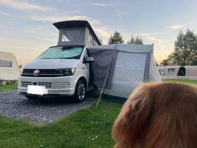 4 berth Volkswagen campervan from 2018