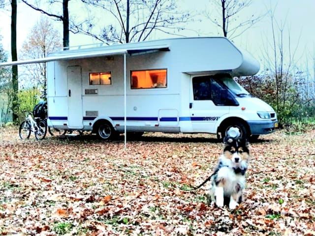 Grote Beer – 7p Chausson alkoofcamper uit 2002