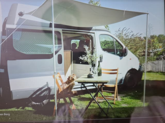 Renault Camper bus – Leuke en sterke campervan uit 2005