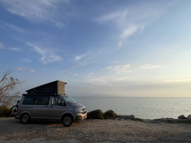 Cali – VW California coast.