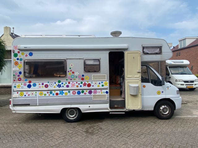 Bloemen camper – 3p Dethleffs alcove uit 1995