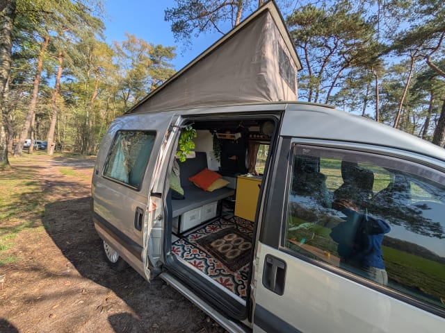 Knusse bus Billie – 2p Fiat other from 2004