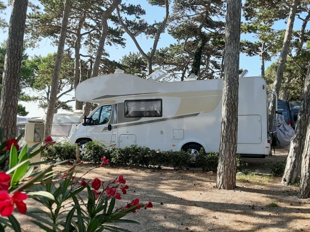 maxi 278 – Overcab family motorhome