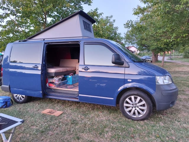 Transporteur Volkswagen T5