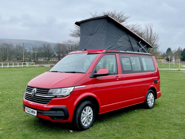 Liberty – 2022 VW T6.1 CALIFORNIA Wohnmobil 4 Schlafplätze - Automatik