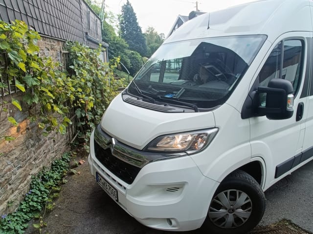 Bussi – Nur für Freunde 