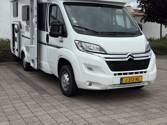 2p Adria Mobil integrated uit 2019