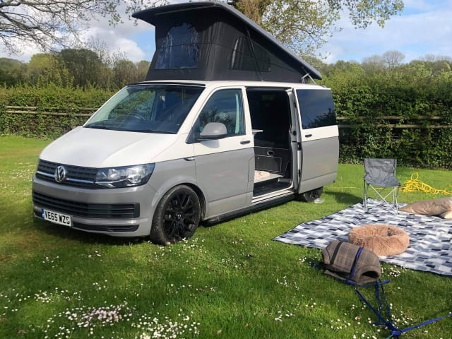 Ivy – Huisdiervriendelijke VW-camper - MK179HD Milton Keynes