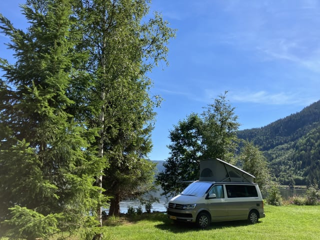 Bulli – Volkswagen California T6 Ocean (options complètes)