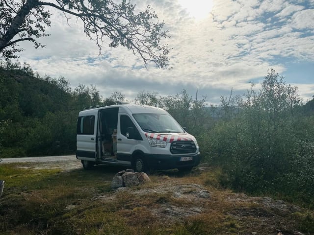 Leon – 2p Ford bus from 2014