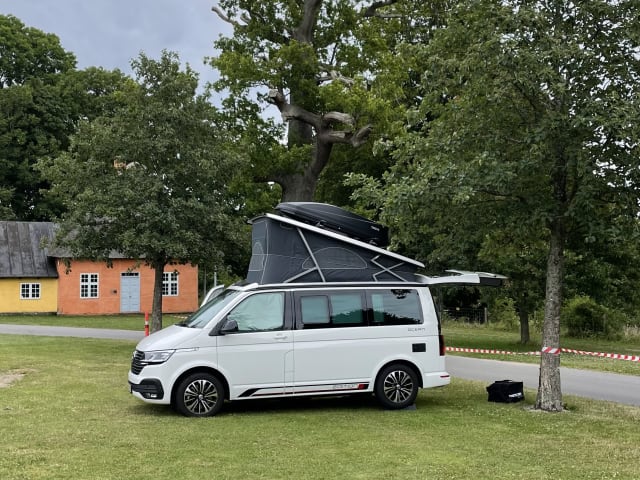 4p Volkswagen campervan uit 2021