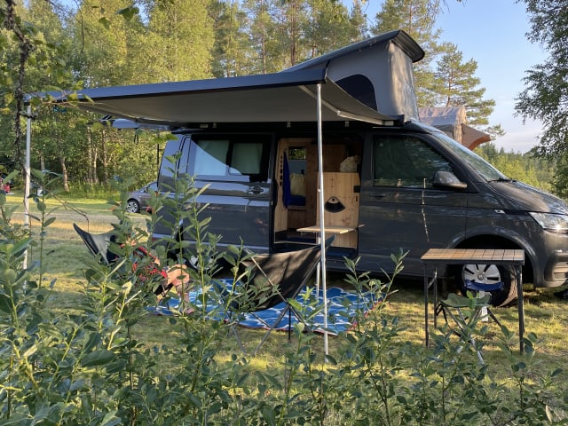 Aster – Aster - Volkswagen transporter T6.2  campervan off-grid 2024