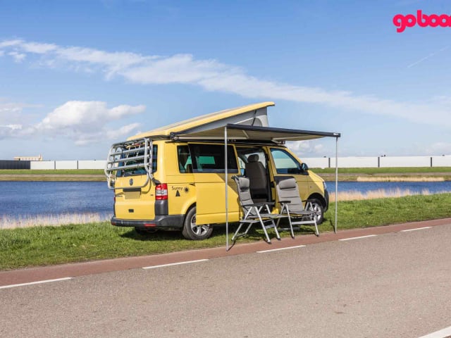 Sunny – Autobus Volkswagen 2p de 2015