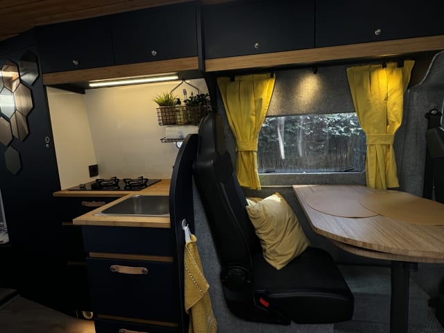 2-Sitzer Fiat-Campingbus ab Baujahr 2020