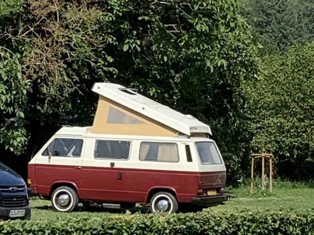 Autobus VW T3 Westfalia del 1983