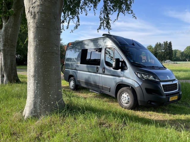 Roze Roadtripper – Compacte modulaire buscamper voor 2 personen 