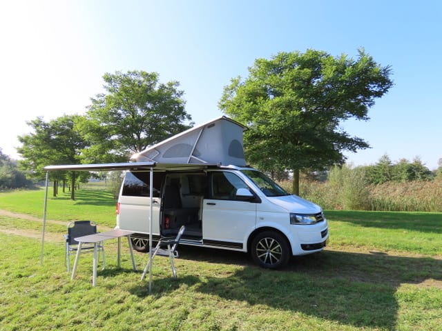 Buzz – VW California Comfort Line (T5)