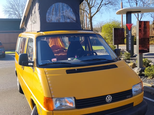 Ducky – Camper Volkswagen per due persone del 1999