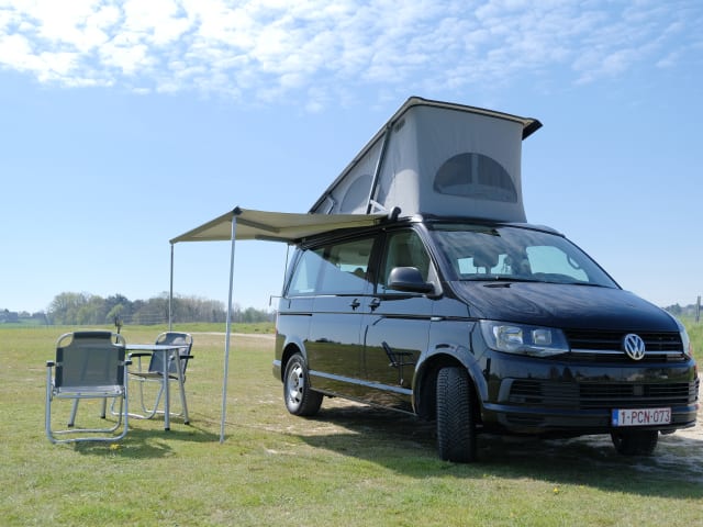 D-Bus Cocoon – VW California T6 for adventurers