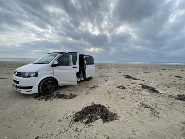 Flo! – Flo ist unser lustiger und bequemer Volkswagen Transporter 5.1 Campervan mit 4 Schlafplätzen 