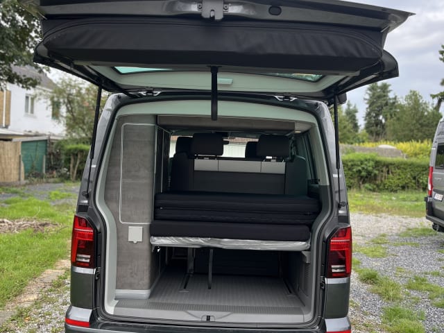 VW California Océan 2024