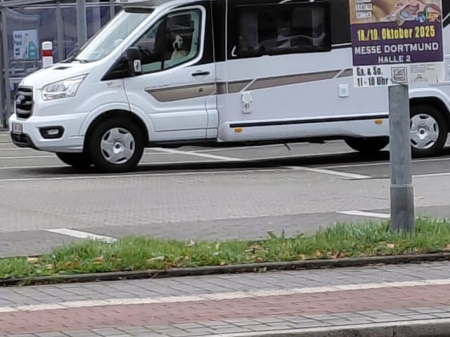 5p Ford semi-integrated uit 2025