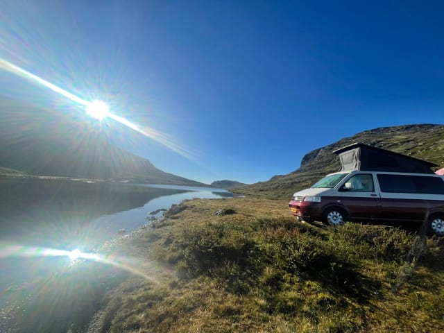 Guus (dan denk je aan brabant) – Rood-witte Volkswagen T5