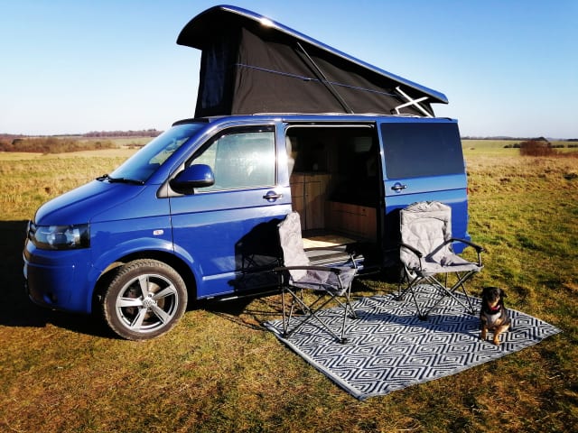 VW California Hire - Southampton Campers