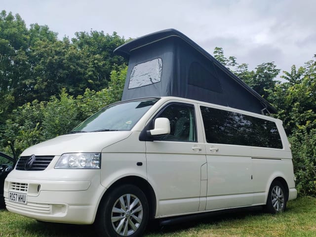 Rosie – VW T5 Extra-long - Vin, lait et pain gratuits.