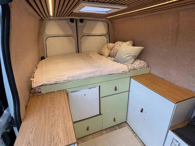 betty – 2p Nissan bus uit 2017