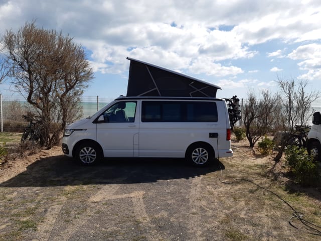 Bulli - Volkswagen California T6.1 Ocean