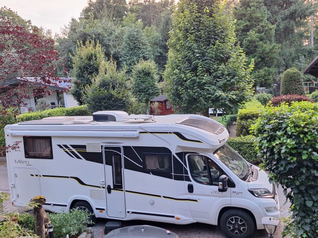 5p Benimar semi-integrated from 2017