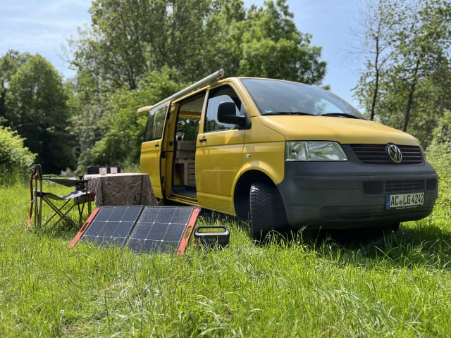 Pippin – VW T5 Postbus 